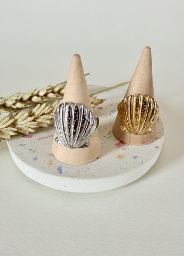 Scallop Shell