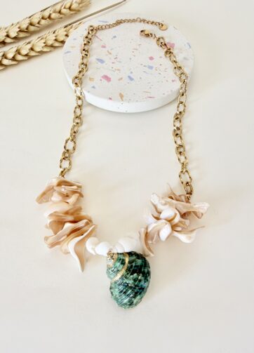Exotic Shell